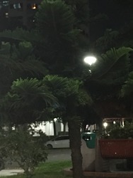 Blk 37 Bedok South Avenue 2 (Bedok), HDB 4 Rooms #197278052